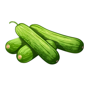 Cucumber