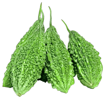 Bitter Gourd F1 Mansi