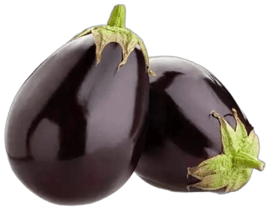 Brinjal