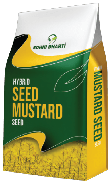 Mustard