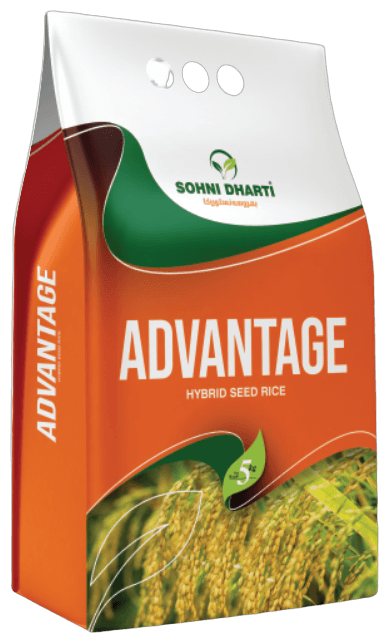 Hybrid Rice Advantage