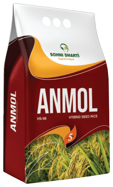 Hybrid Rice Anmol (HS-98)