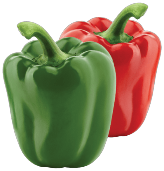 Sweet Pepper