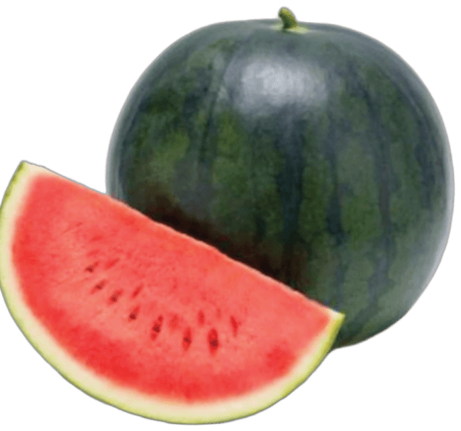 Watermelon F1 Galaxy