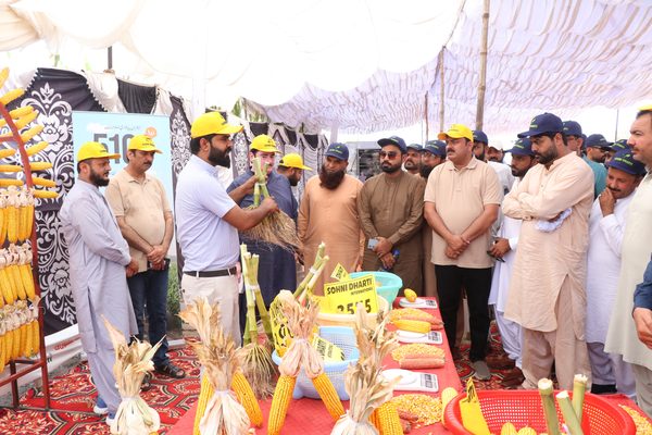 Arifwala Field Day - Photo 7 - Sohni Dharti International