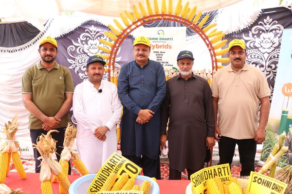 Arifwala Field Day - Photo 9 - Sohni Dharti International