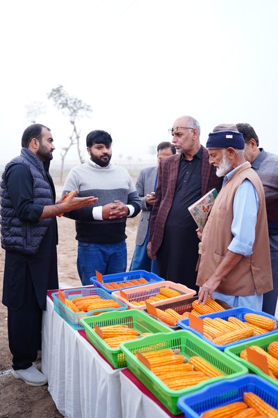 NSDRA Official Delegation Visit - Photo 6 - Sohni Dharti International