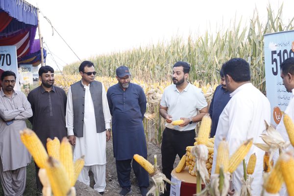 Okara Field Demonstration Day - Photo 4 - Sohni Dharti International